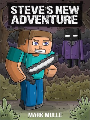 cover image of Steve's New Adventure Book 1